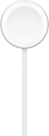 Apple Magnetic Charger to usb-A